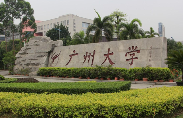 国际合作培训